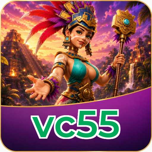 Troubleshooting vc55